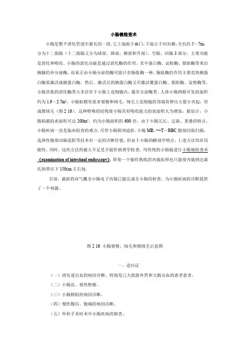 小肠镜检查术