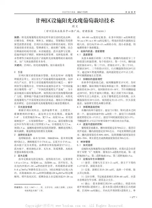 甘州区设施阳光玫瑰葡萄栽培技术