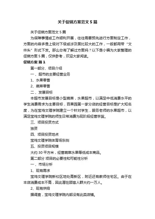 关于促销方案范文5篇