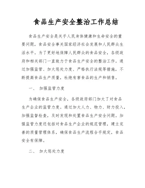 食品生产安全整治工作总结