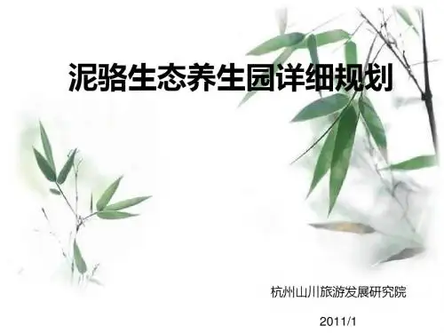 某生态养生园详细规划项目汇报(PPT 64张)