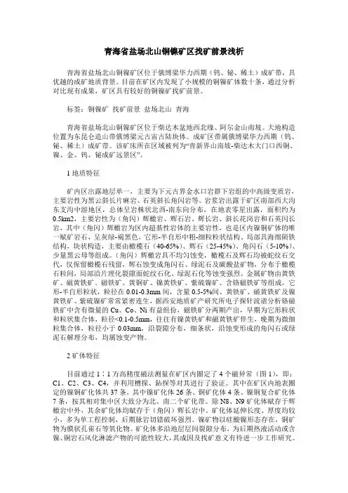 青海省盐场北山铜镍矿区找矿前景浅析