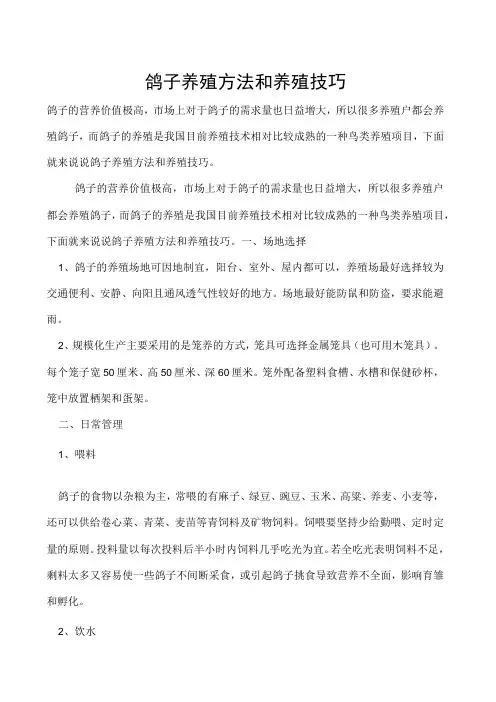 鸽子养殖方法和养殖技巧