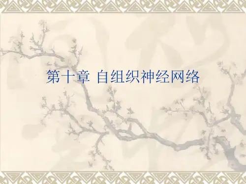 自组织神经网络