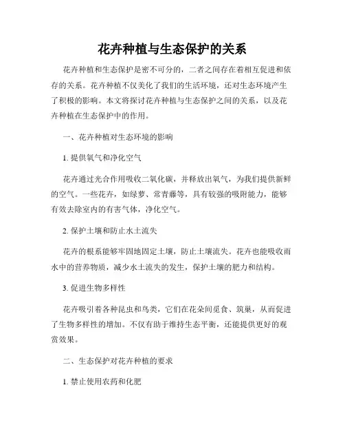 花卉种植与生态保护的关系