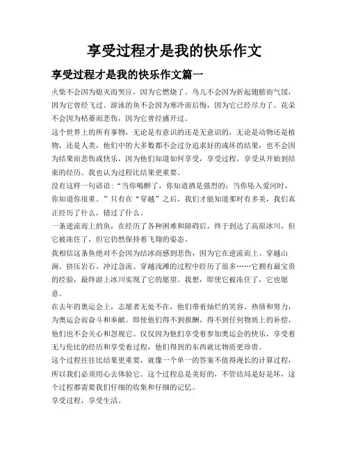 享受过程才是我的快乐作文