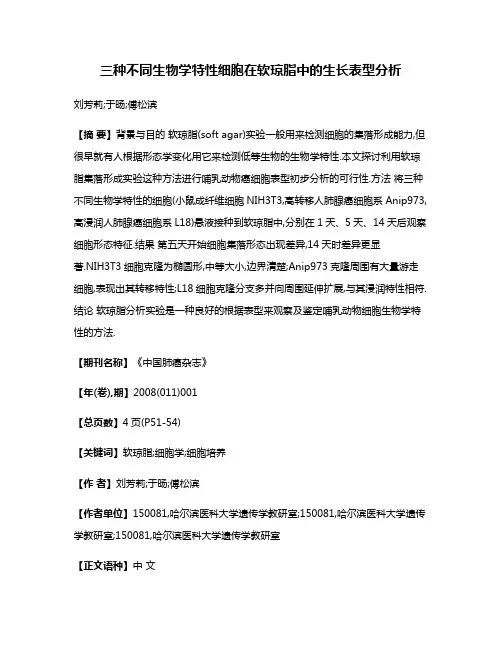 三种不同生物学特性细胞在软琼脂中的生长表型分析
