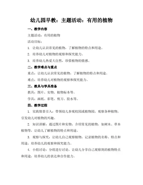 幼儿园早教：主题活动：有用的植物