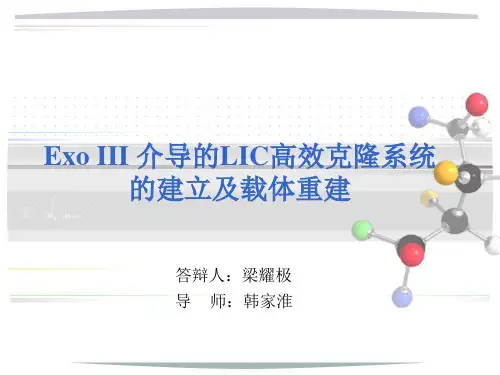ExoIII介导的LIC高效克隆系统的建立及载体重建