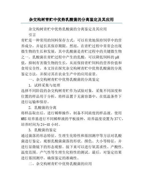 杂交构树青贮中优势乳酸菌的分离鉴定及其应用