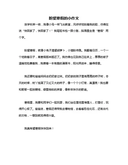 盼望寒假的小作文