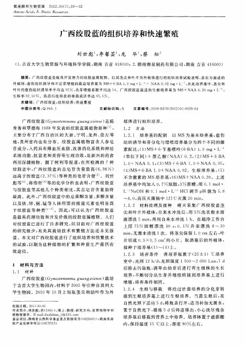 广西绞股蓝的组织培养和快速繁殖