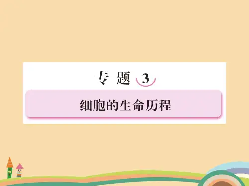 高三生物细胞增殖与受精作用PPT精品课件