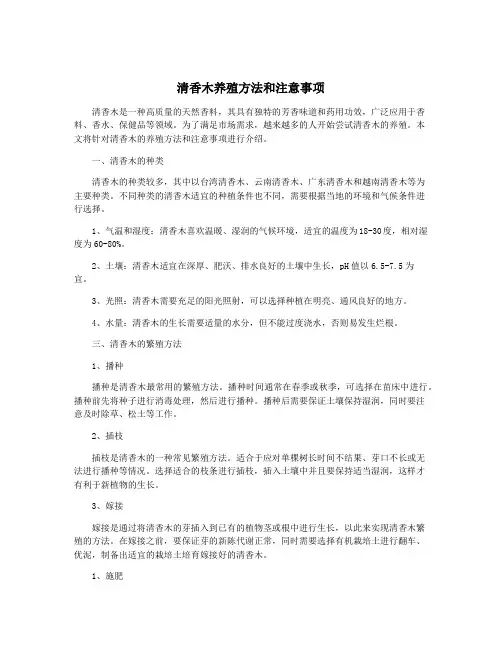 清香木养殖方法和注意事项