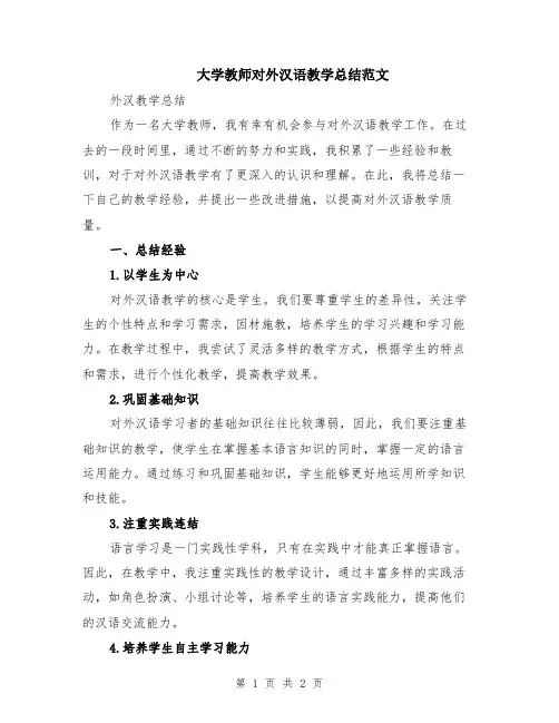 大学教师对外汉语教学总结范文