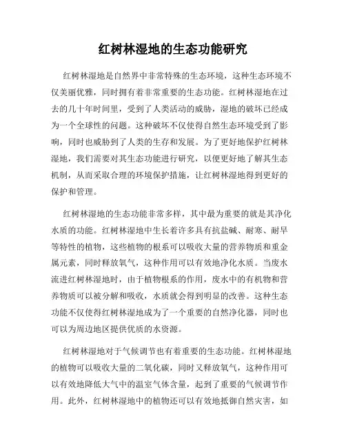 红树林湿地的生态功能研究