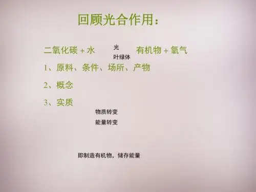 冀少版八年级生物上册《呼吸作用》课件2