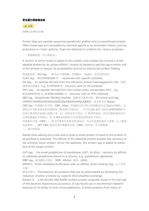 常见蛋白质标签