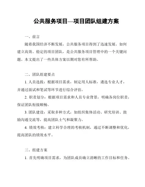 公共服务项目—项目团队组建方案