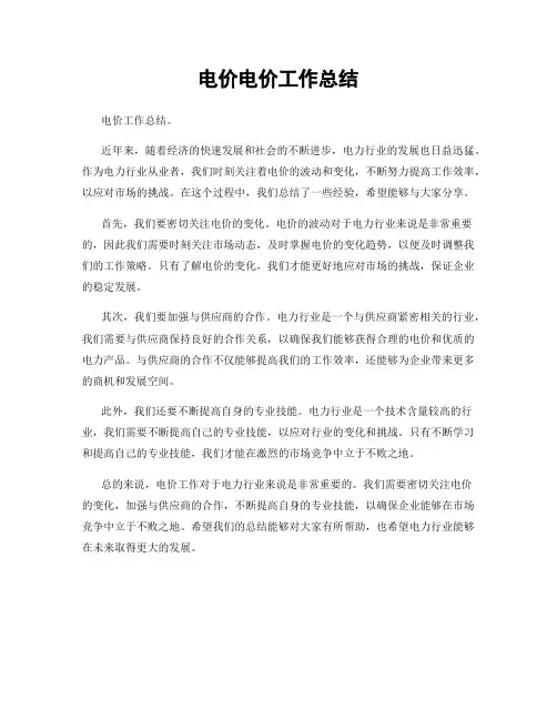 电价电价工作总结