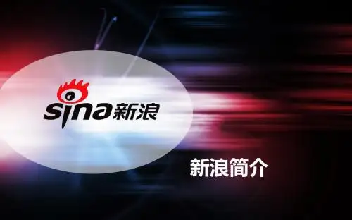 新浪简介