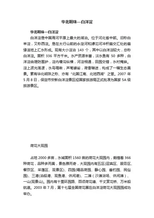 华北明珠—白洋淀