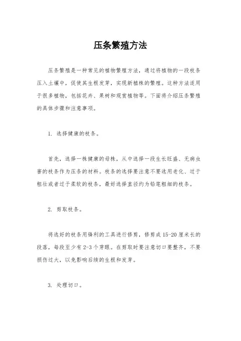 压条繁殖方法
