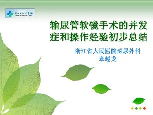 输尿管软镜手术的并发症和操作 ppt课件