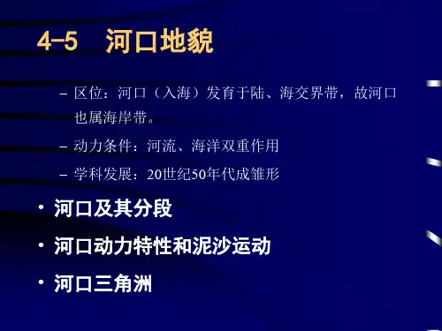 河口地貌_精品文档