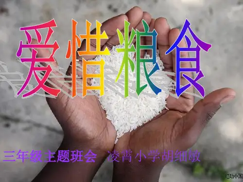 《节约粮食》主题班会说课PPT课件