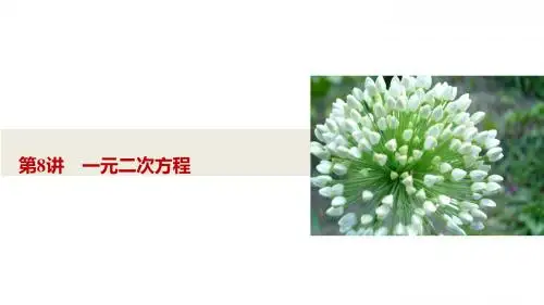 中考数学总复习8一元二次方程 (共31张PPT)