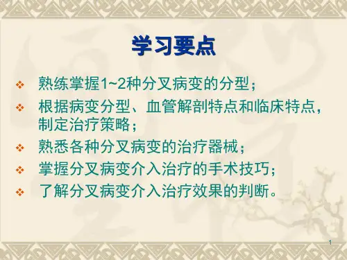分叉病变的介入治疗课堂PPT