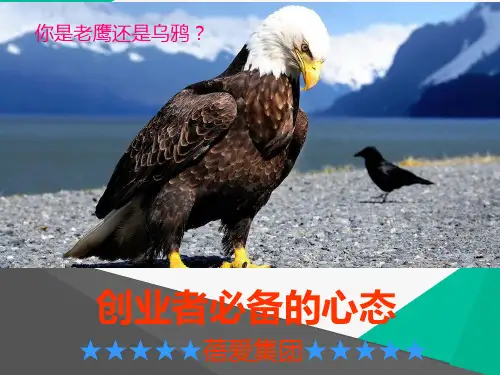 创业者必备的心态PPT(共 43张)
