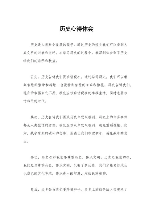 历史心得体会