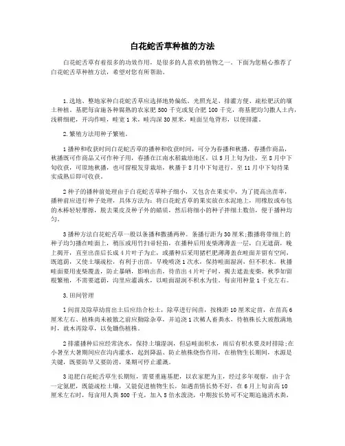 白花蛇舌草种植的方法