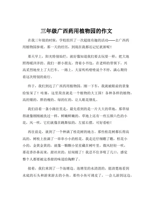 三年级广西药用植物园的作文