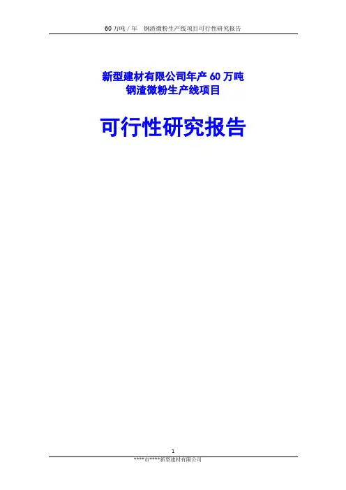 新型建材有限公司年产60万吨钢渣微粉生产线项目可行性研究报告
