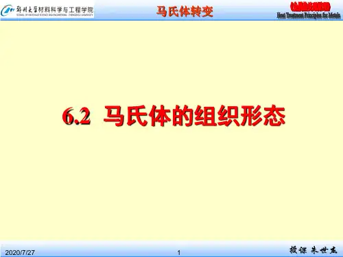 CH6.2 马氏体的组织形态(10级)