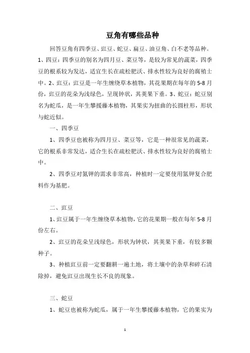 豆角有哪些品种