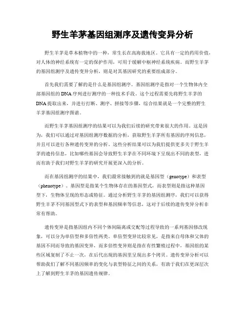 野生羊茅基因组测序及遗传变异分析
