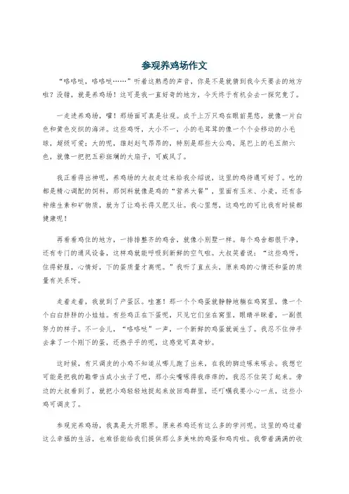 参观养鸡场作文