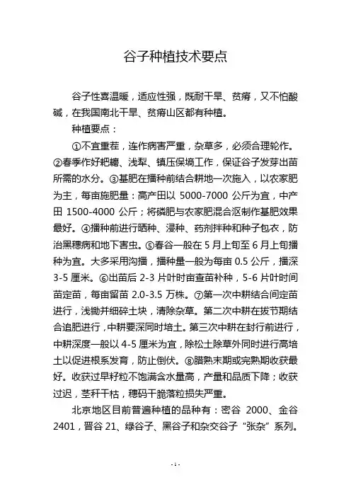 谷子种植技术要点