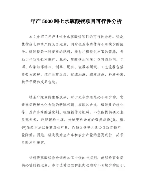 年产5000吨七水硫酸镁项目可行性分析