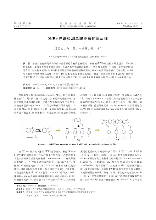 SERS光谱检测单胺类氧化酶活性