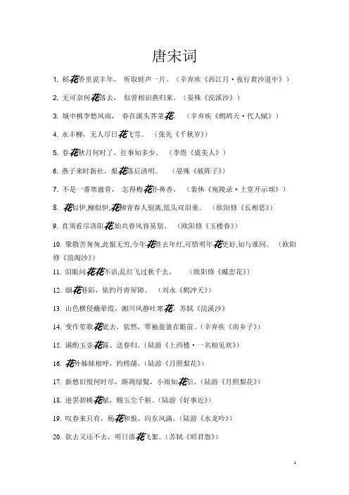 唐宋词-论文