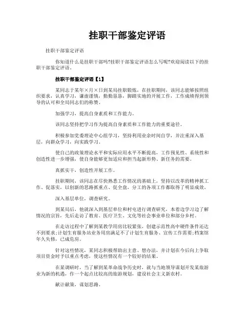挂职干部鉴定评语