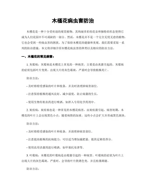 木槿花病虫害防治