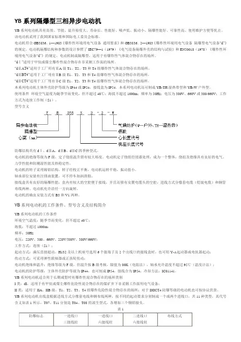 YB系列隔爆型三相异步电动机
