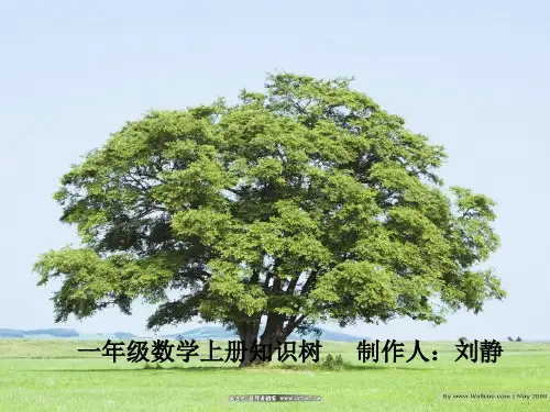一年级数学知识树1