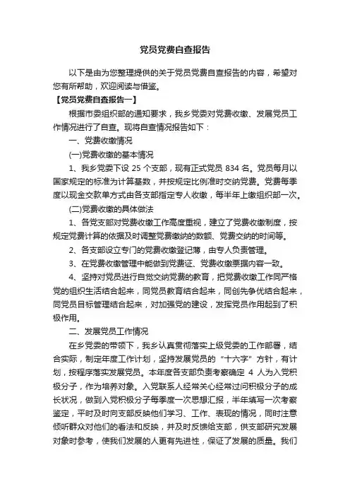 党员党费自查报告